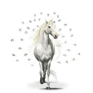 fuglenes vandrende hest: pavos